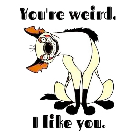 You're Weird I Like You Premium Vinyl Stickers
