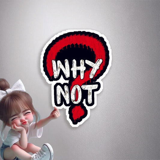 Why Not? Graffiti Premium Vinyl Stickers
