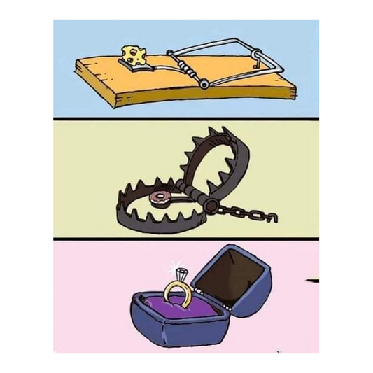 The Three Traps Premium Vinyl Stickers