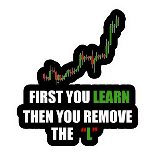 First You Learn Then You Remove The L Premium Vinyl Stickers