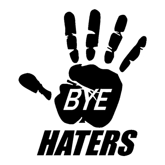 Bye Haters Premium Vinyl Stickers