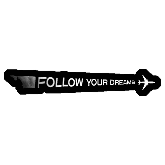 Follow Your Dreams Plane Premium Vinyl Stickers
